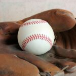 best baseball gloves for infielders and outfielders