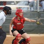 catcher’s mitt buying guide